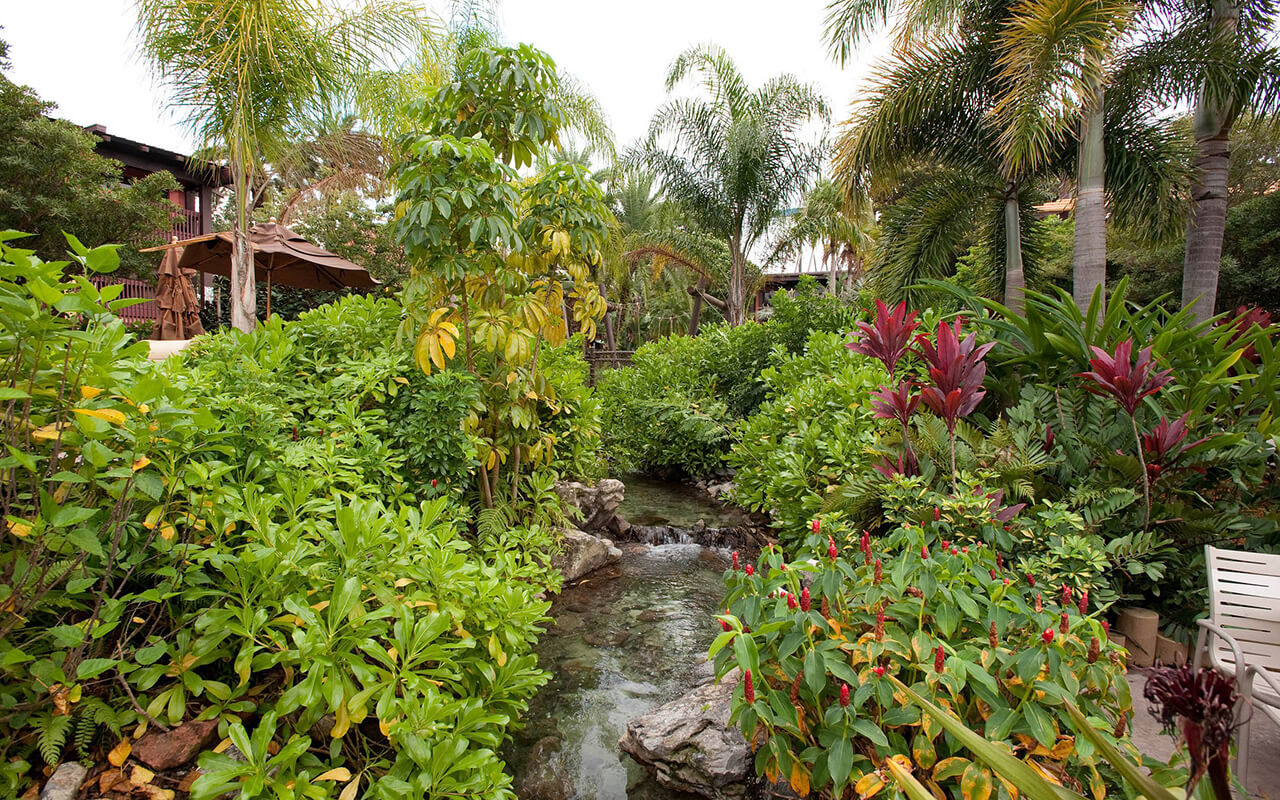 Gardens at Disney’s Polynesian Village Resort