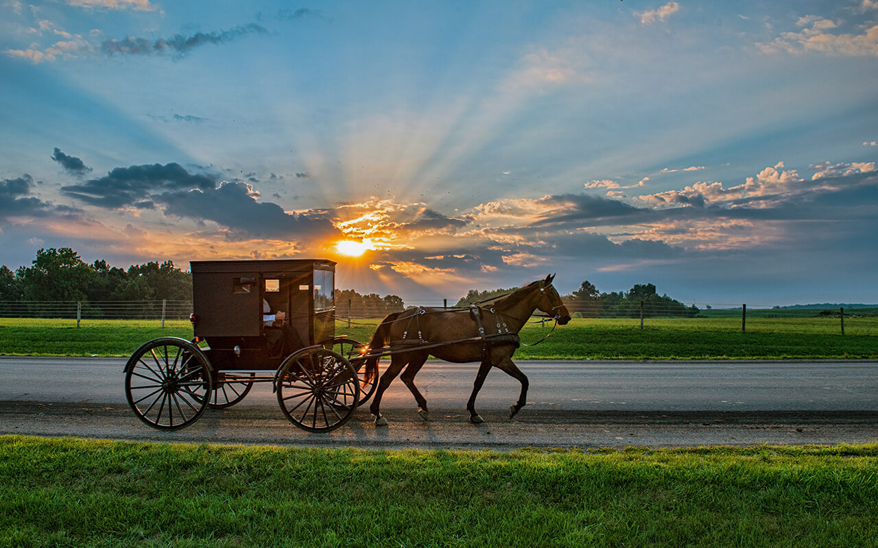 Amish horse and buggy