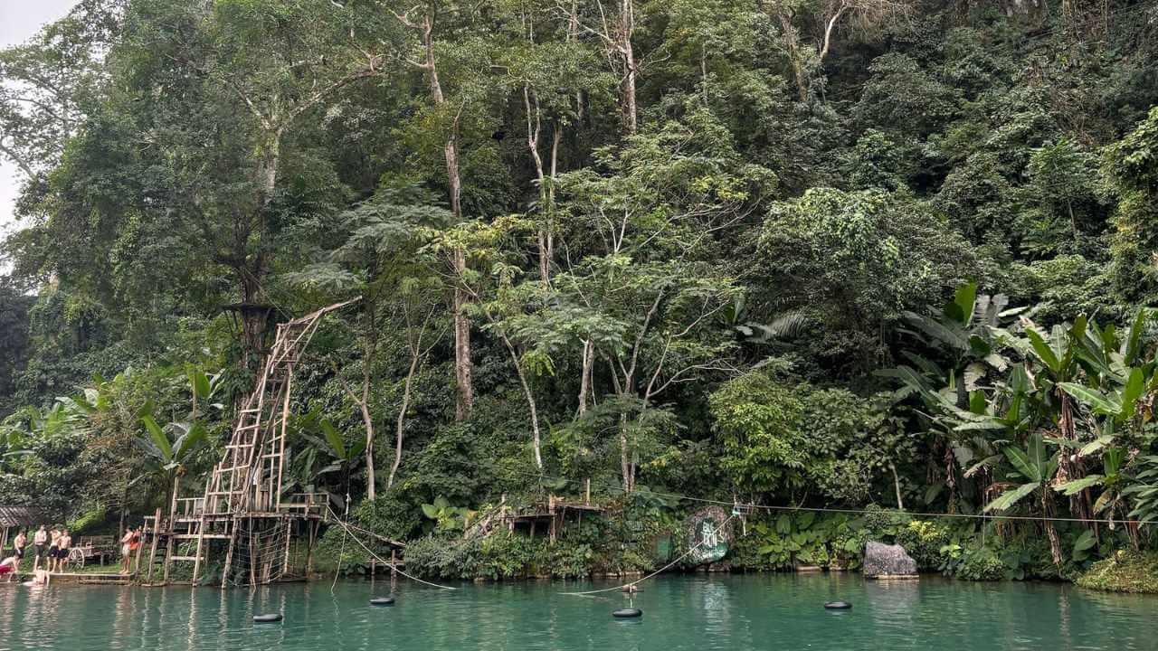 a group of people swimming in the water in front of a jungle
