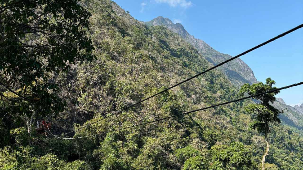 a zipline in the middle of the jungle with mountains in the background