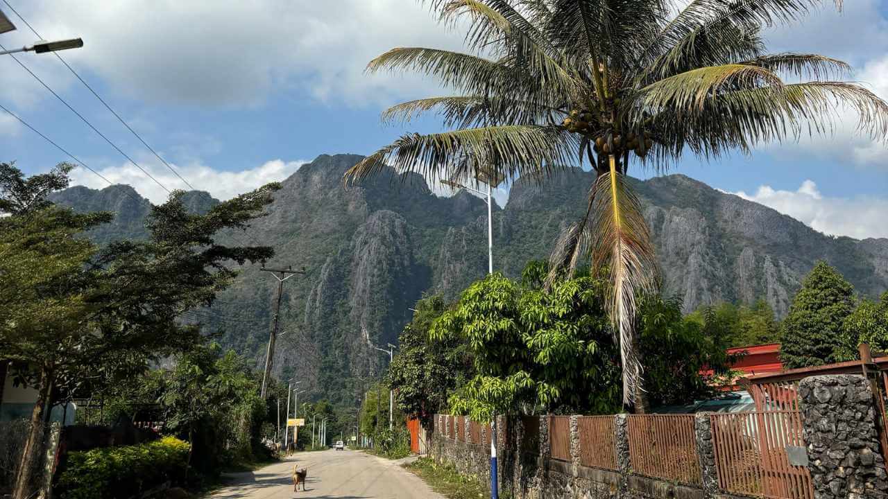 a dirt road with palm trees and mountains in the background