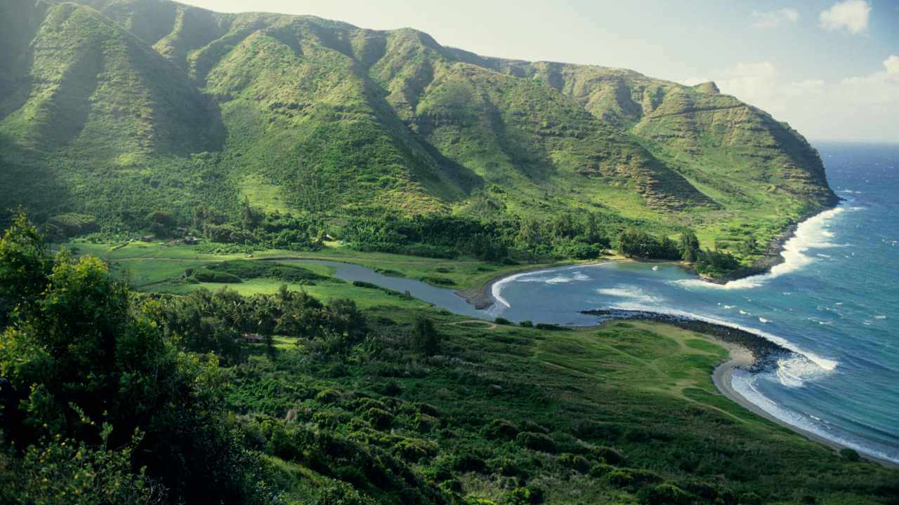 kauai, hawaii - kauai island stock videos & royalty-free footage