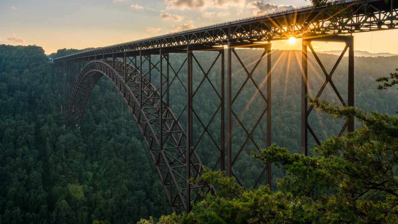 the sun rises over a large bridge in the middle of a forest