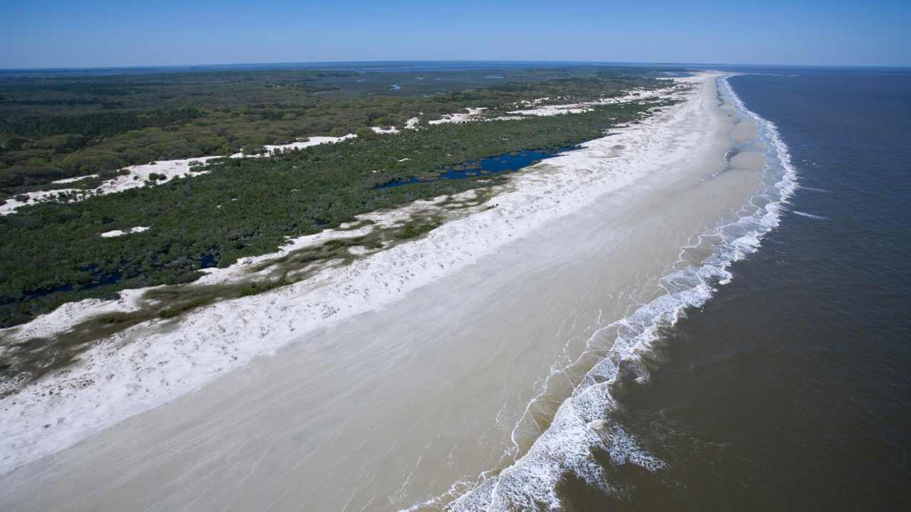 an aerial view of a sandy beach and forest