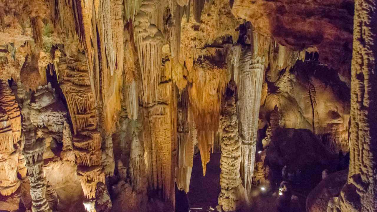 the inside of a cave with many tall formations