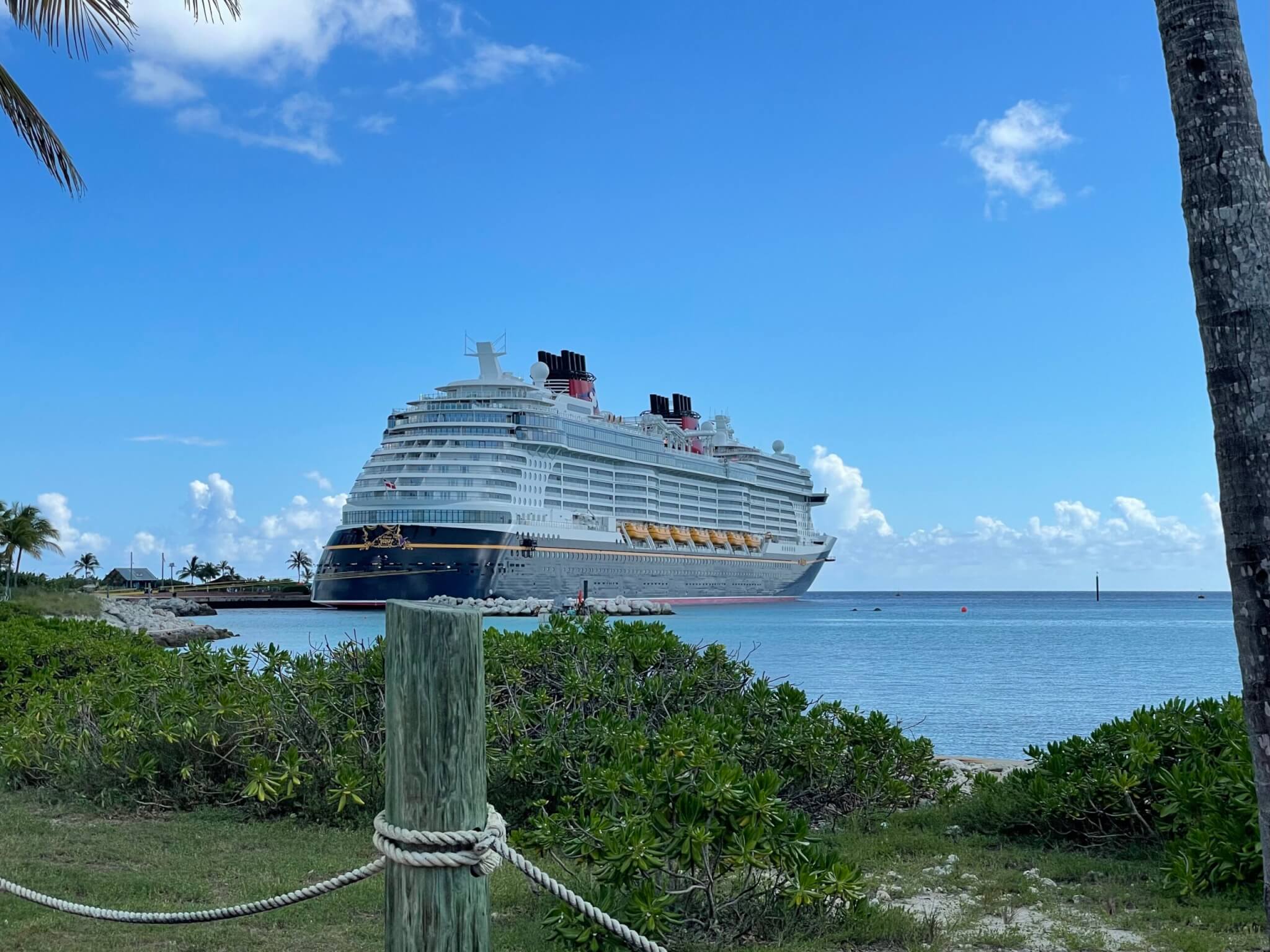 cruise ship in the water on a beach