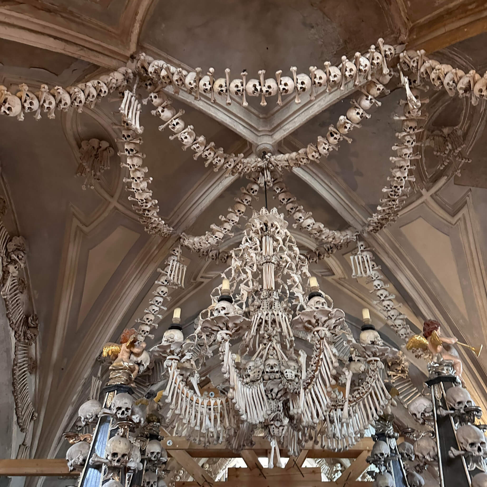 Bone chandelier. 