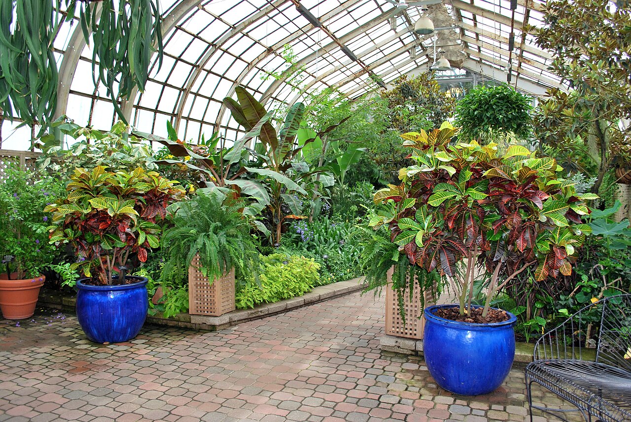 Lincoln Park Conservatory in the winter