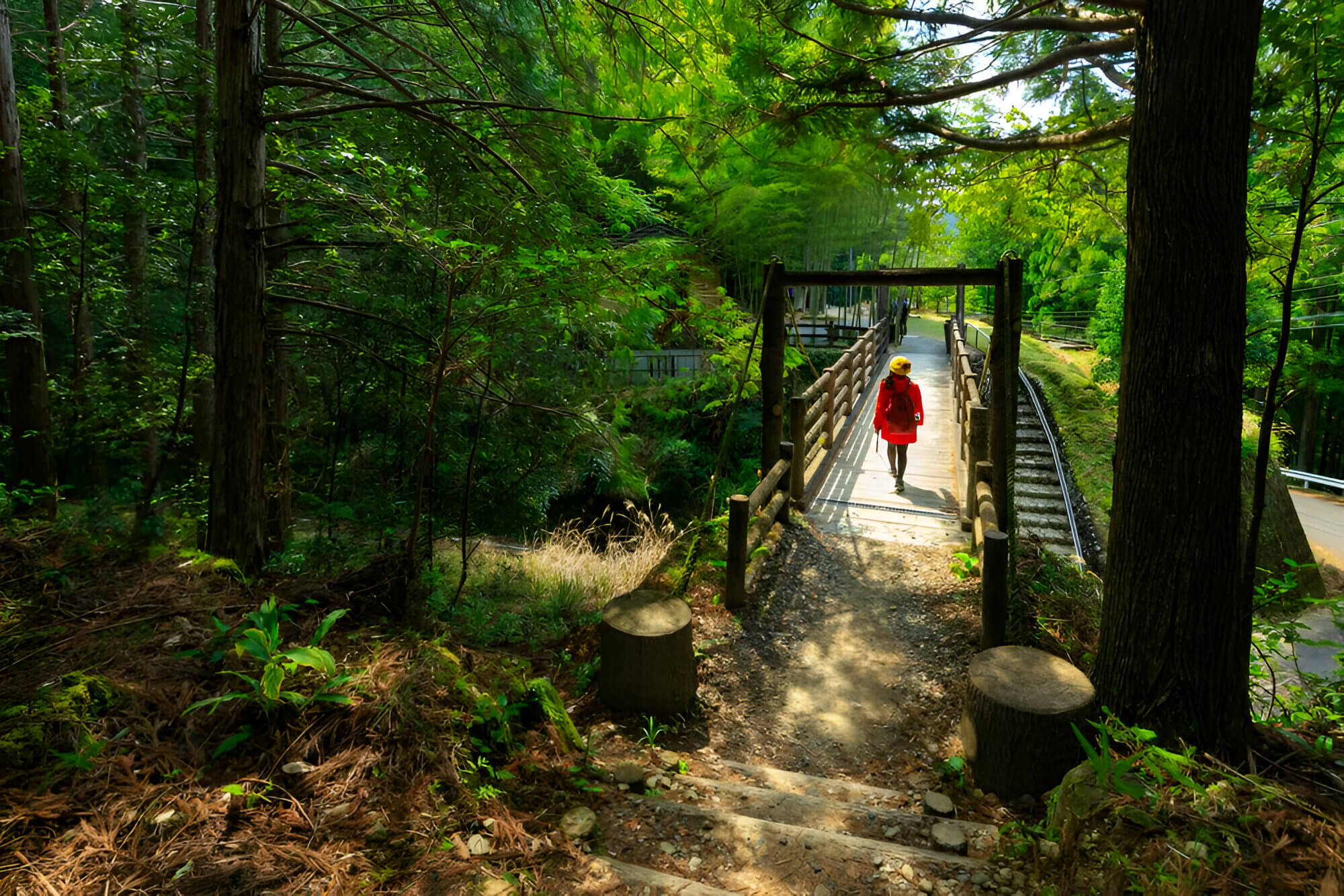 Japanese walking tour