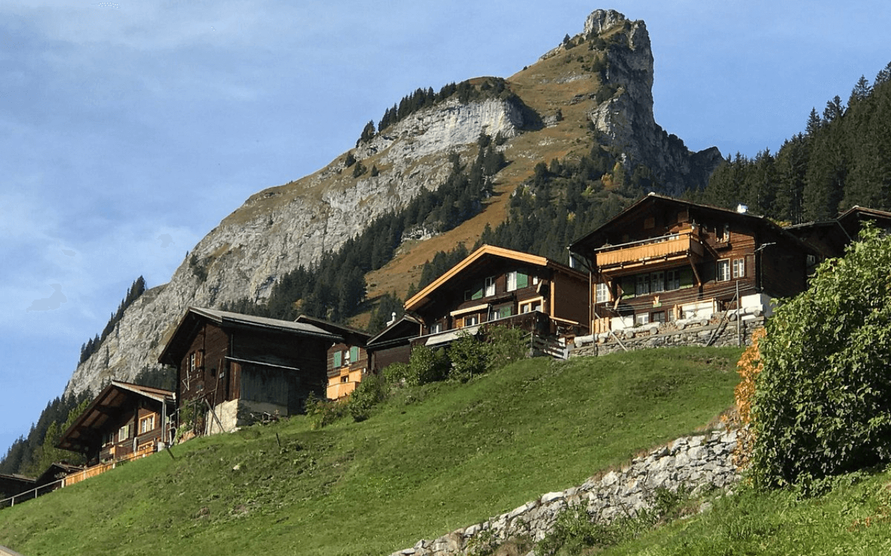 brown houses on a hill