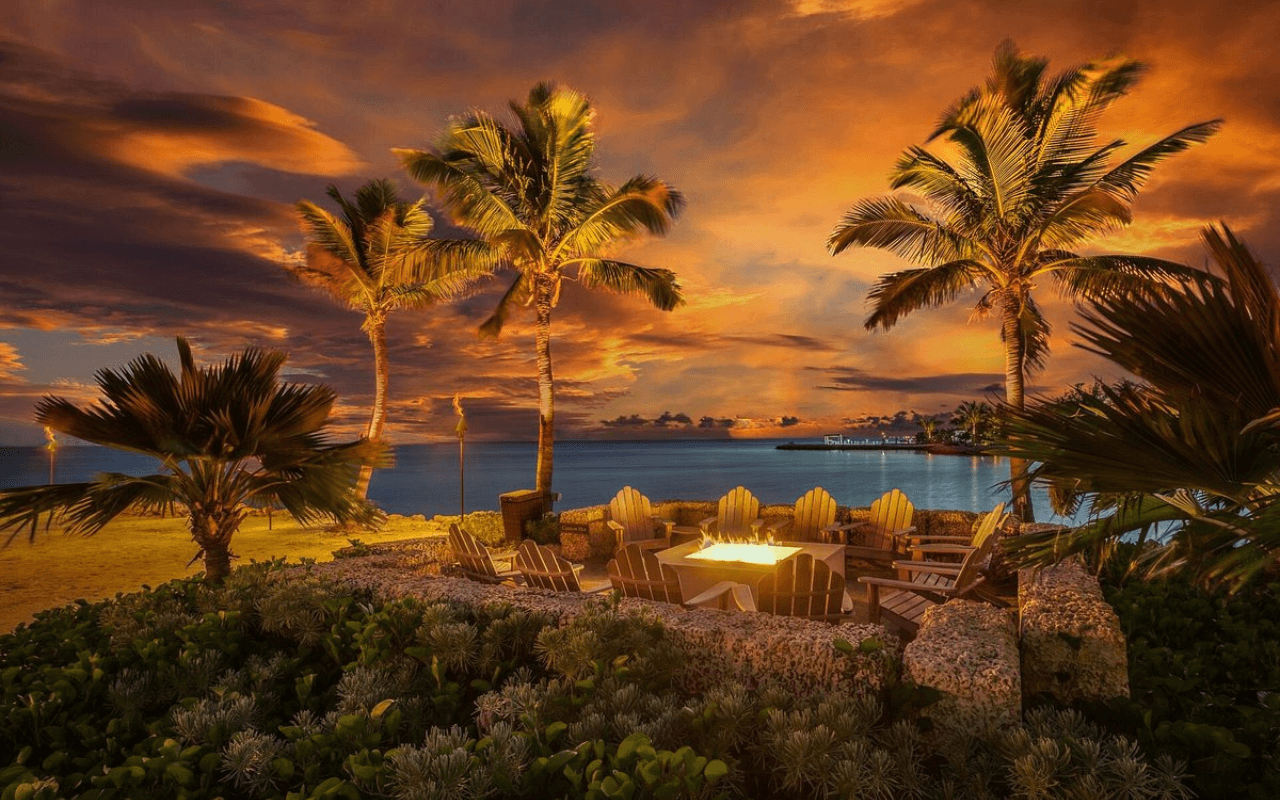 orange sunset with palm trees