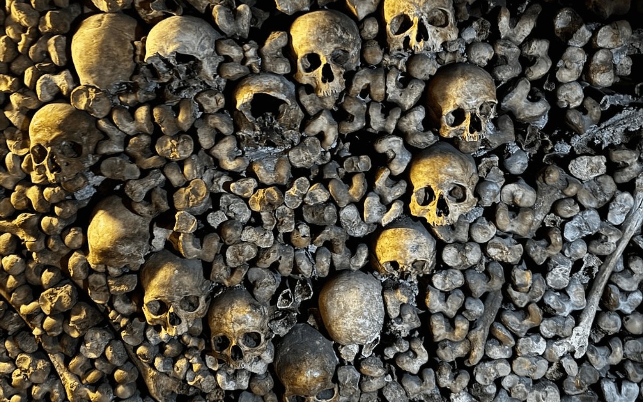 lots of skulls 