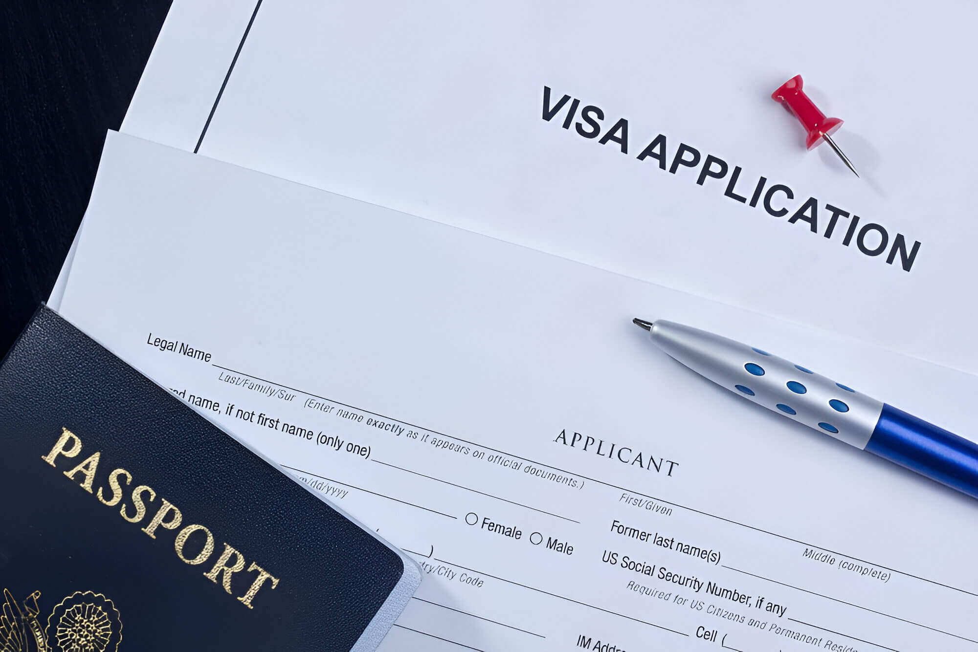 travel visa application