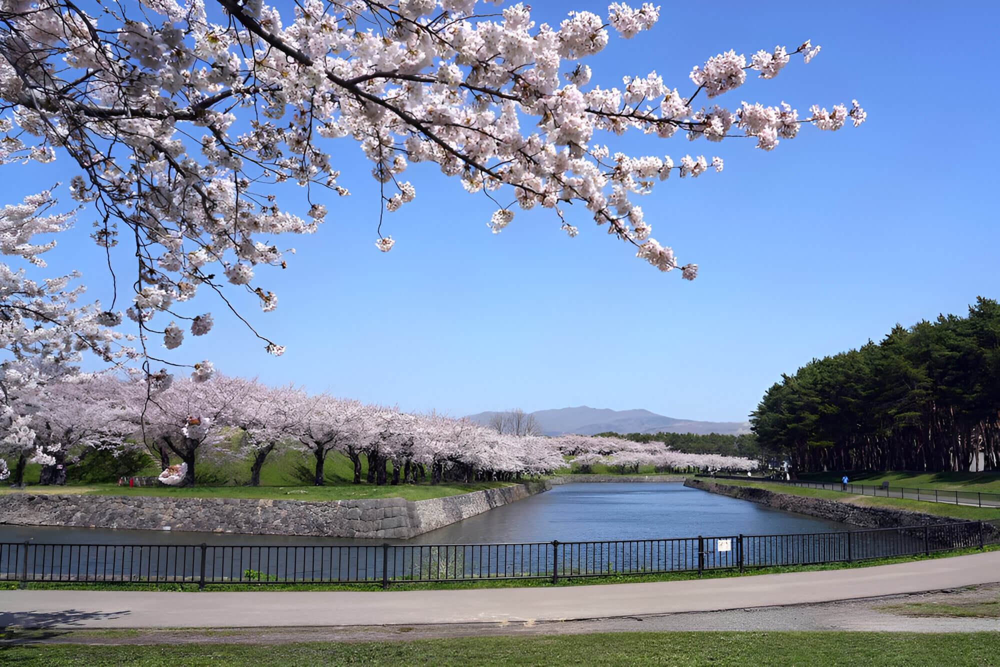 Japanese park