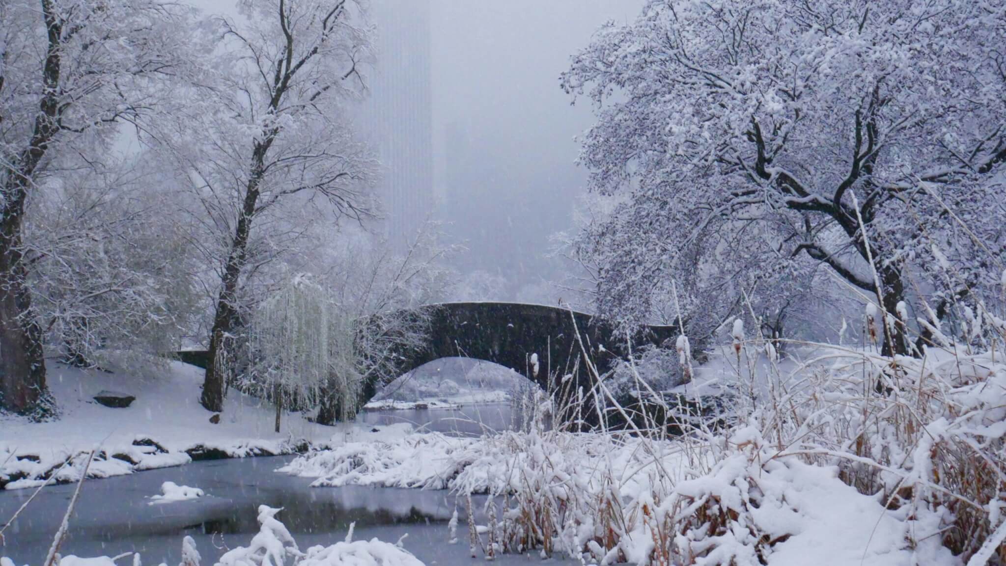 Snow covered stone bridge in a peaceful winter landscape surrounded by frosted trees.