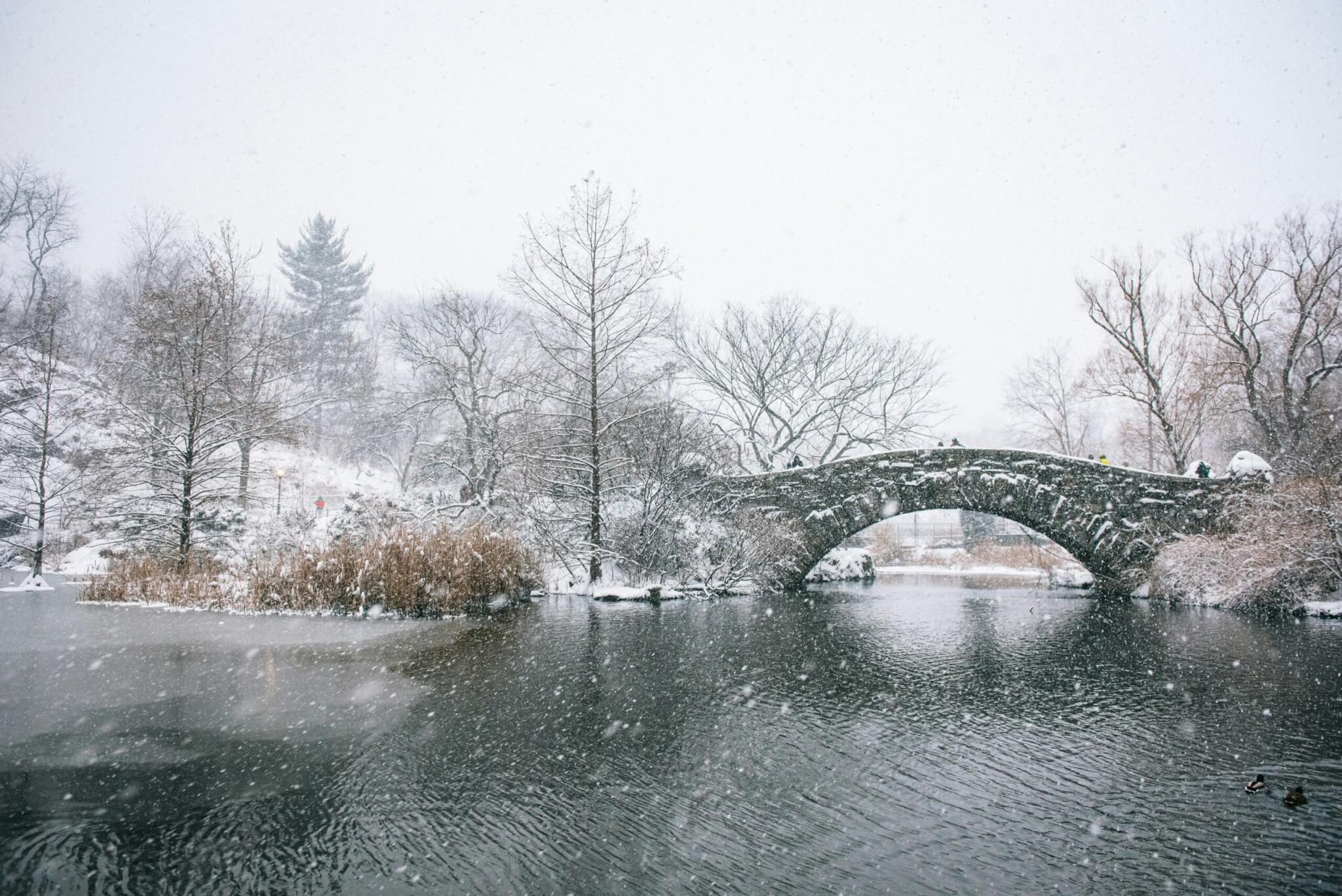 central park in the snow