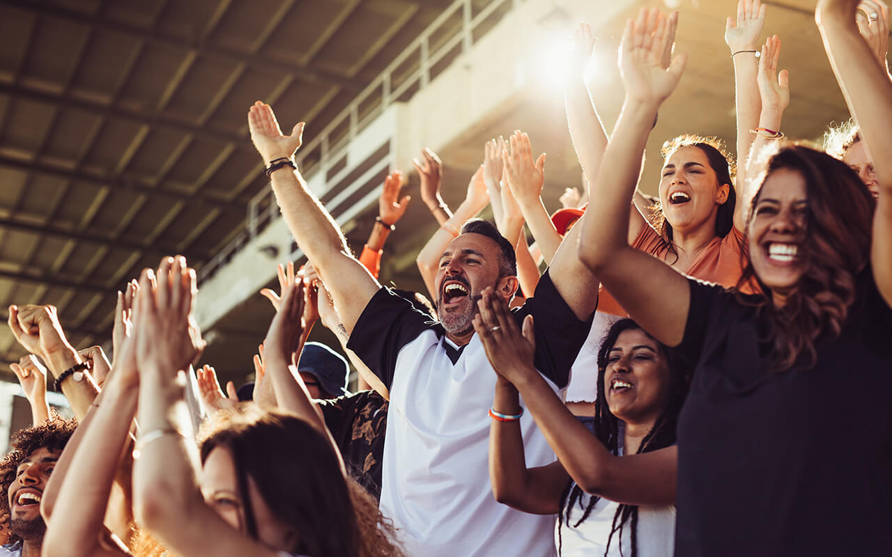 Crowd in a sports arena