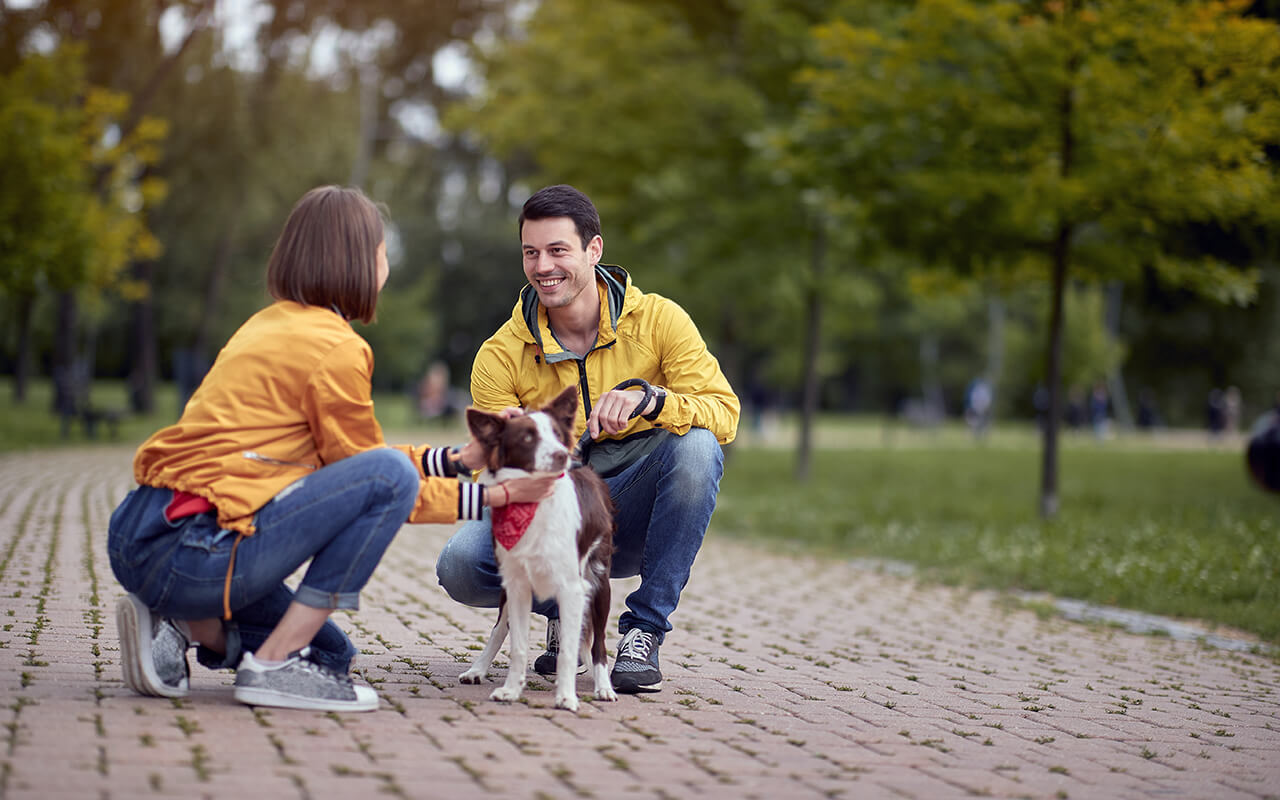 Man and woman meeting in a dog park