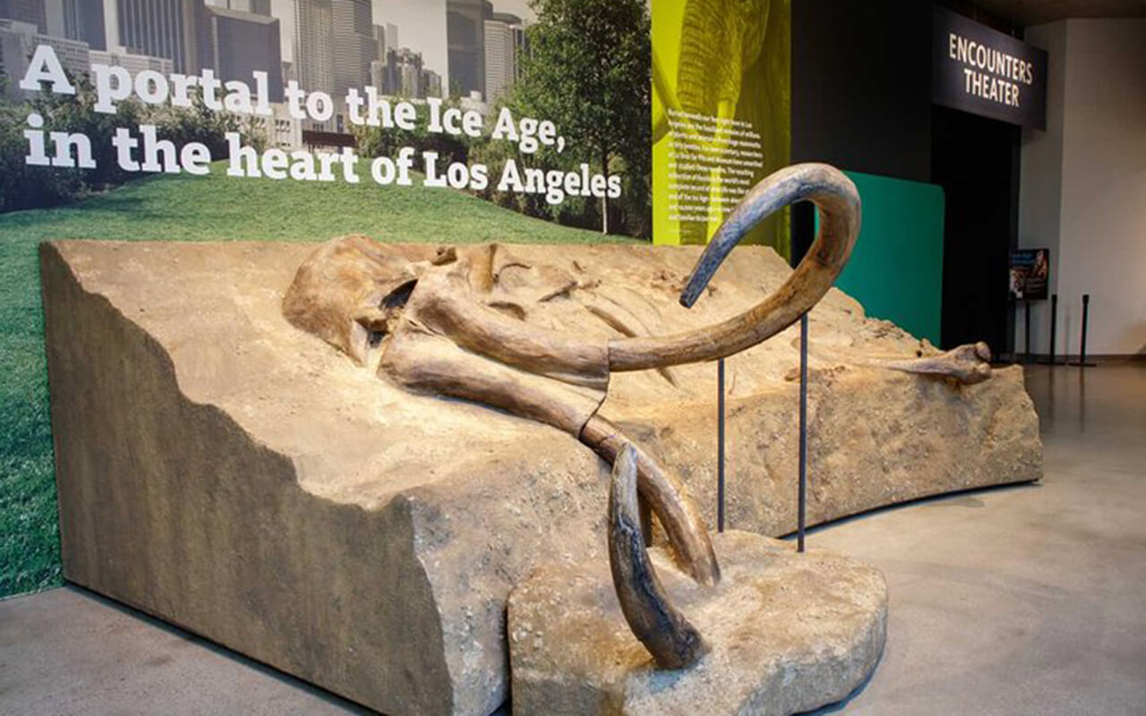 La Brea Tar Pits