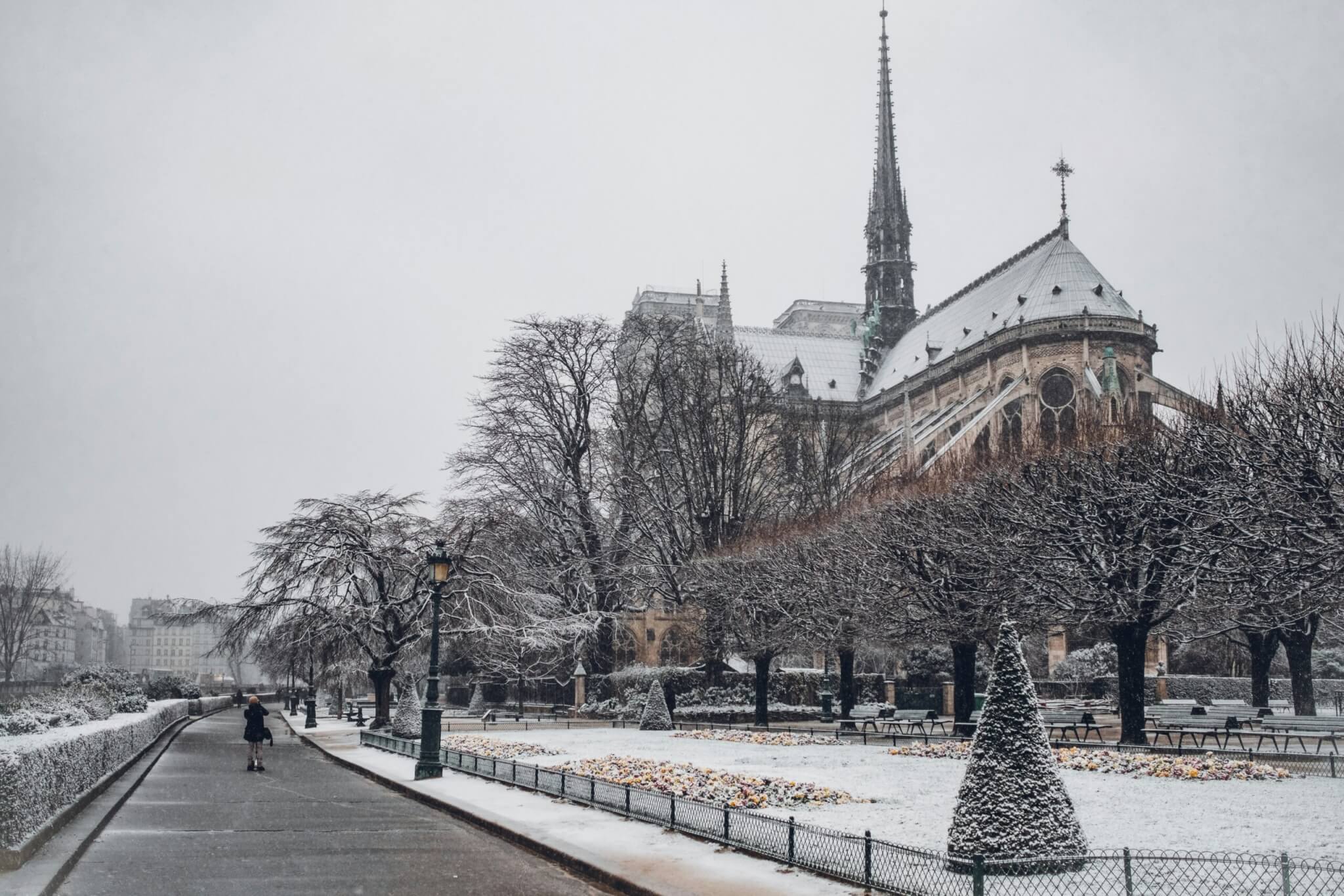 notre dame, paris