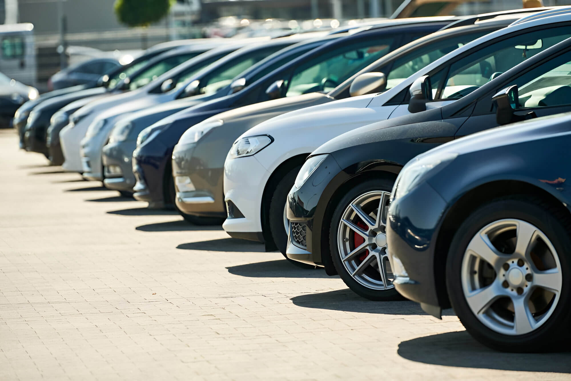 Rental car lot 