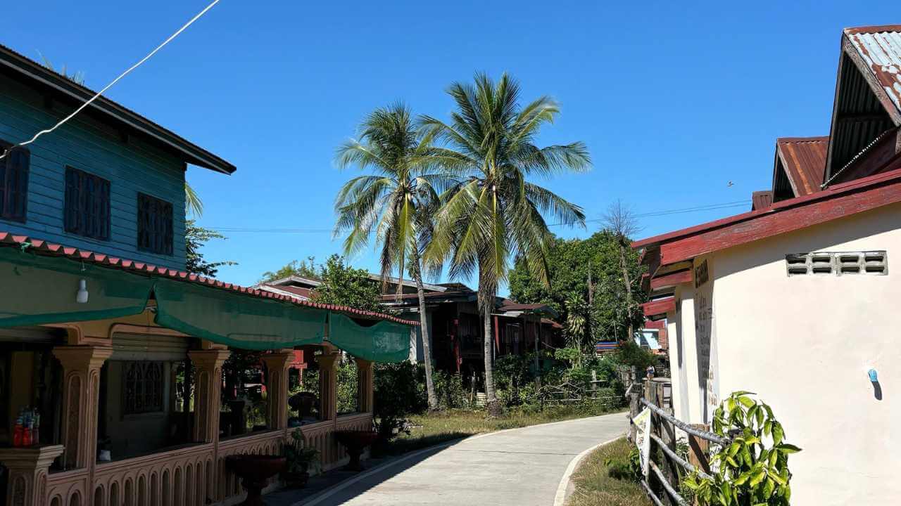 a narrow street in front of a house with palm trees