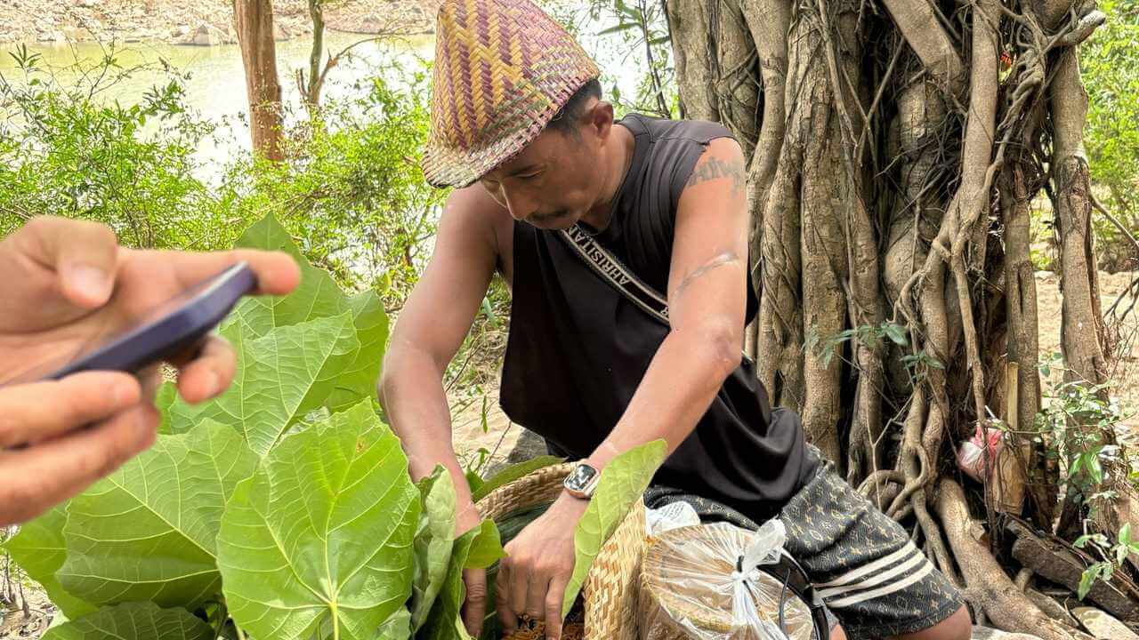 a person in a hat is holding a leafy plant