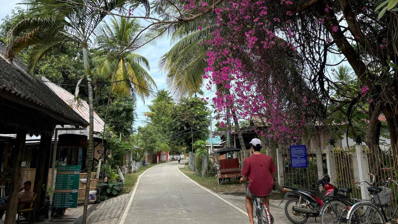 a person riding a bike down a narrow street with flowers in the background