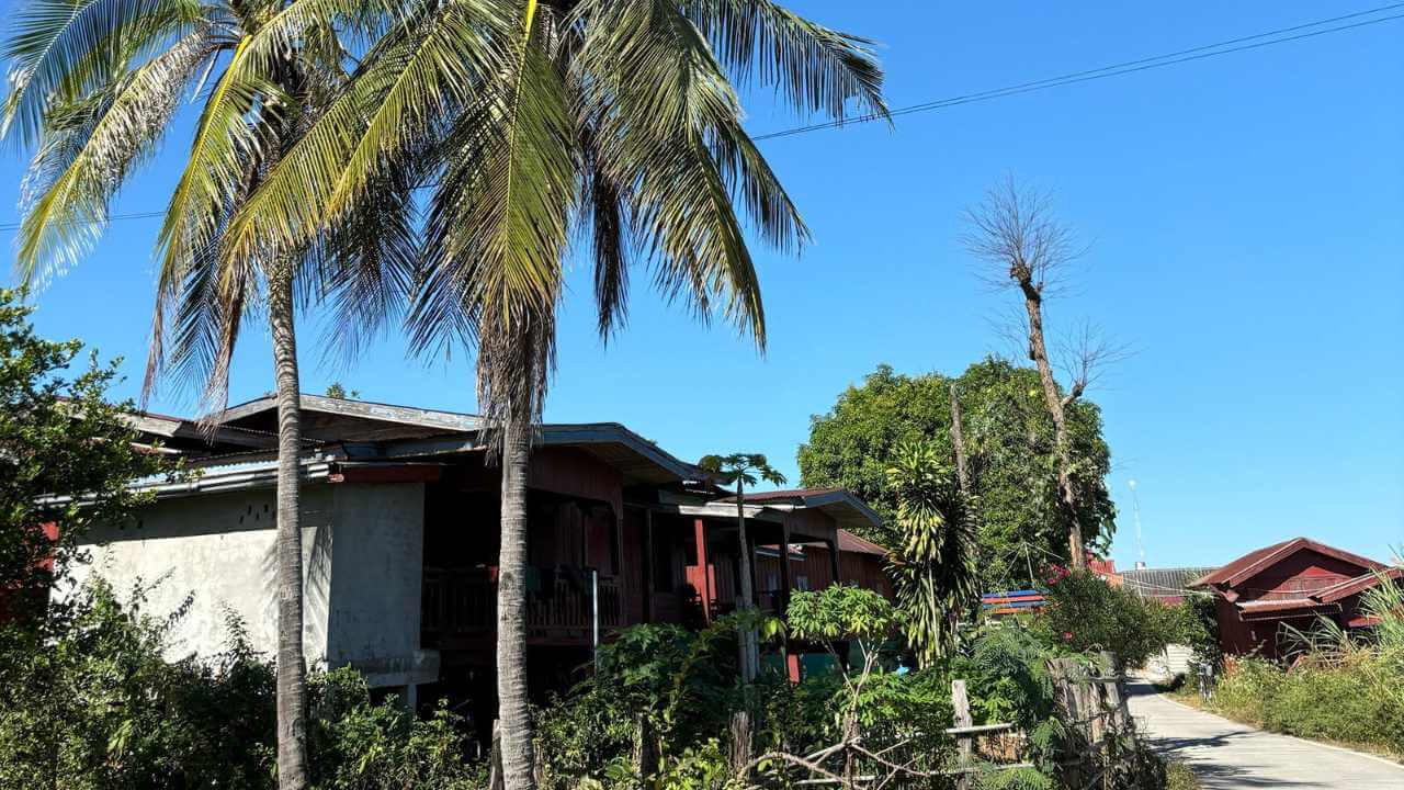 palm trees line the side of the road in front of a house