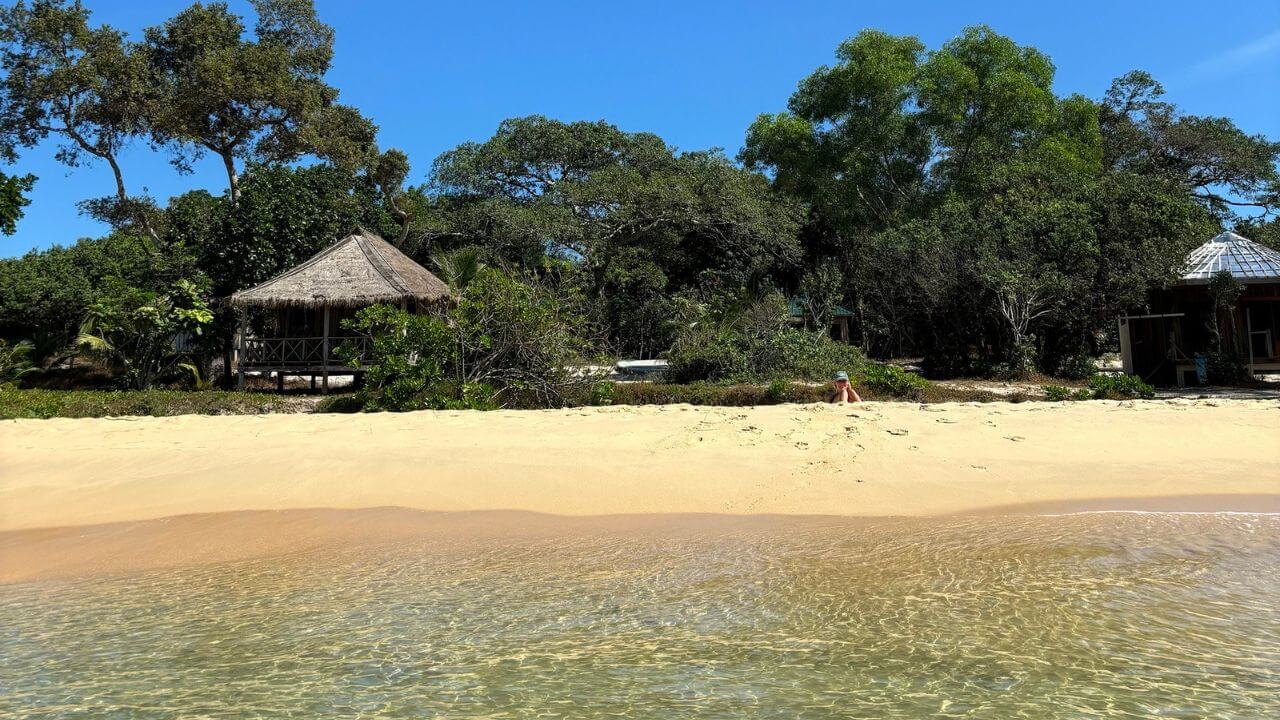 a sandy beach with thatched huts and trees