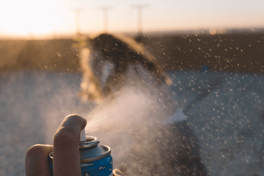 Bear Spray