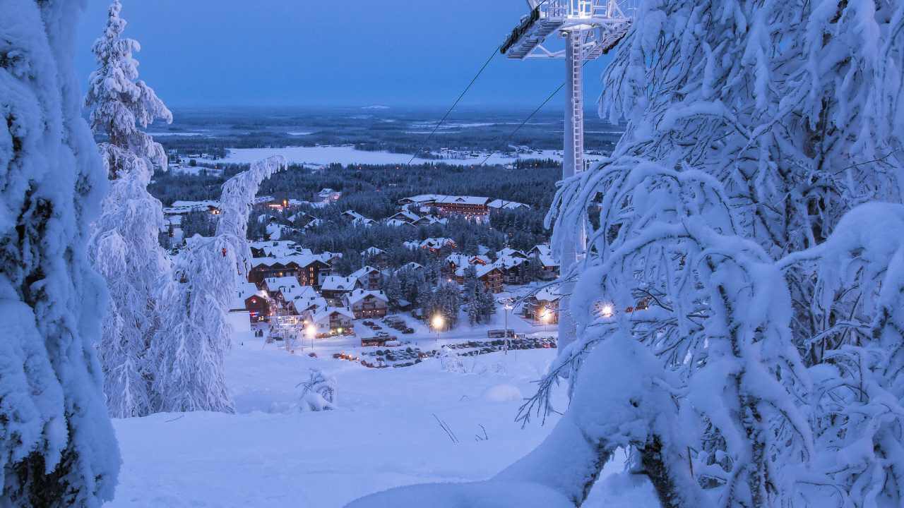 snow covered trees and a ski lift at night