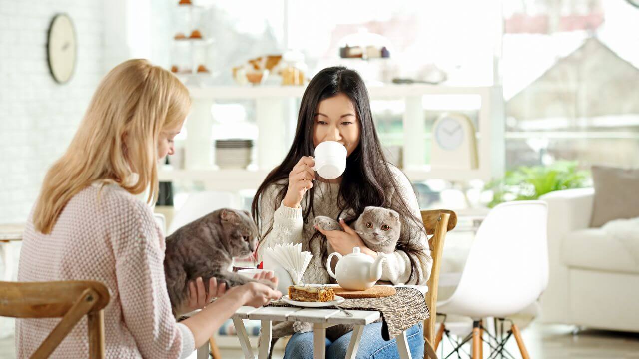 Two individuals sitting at a table with a dog and a cup of tea