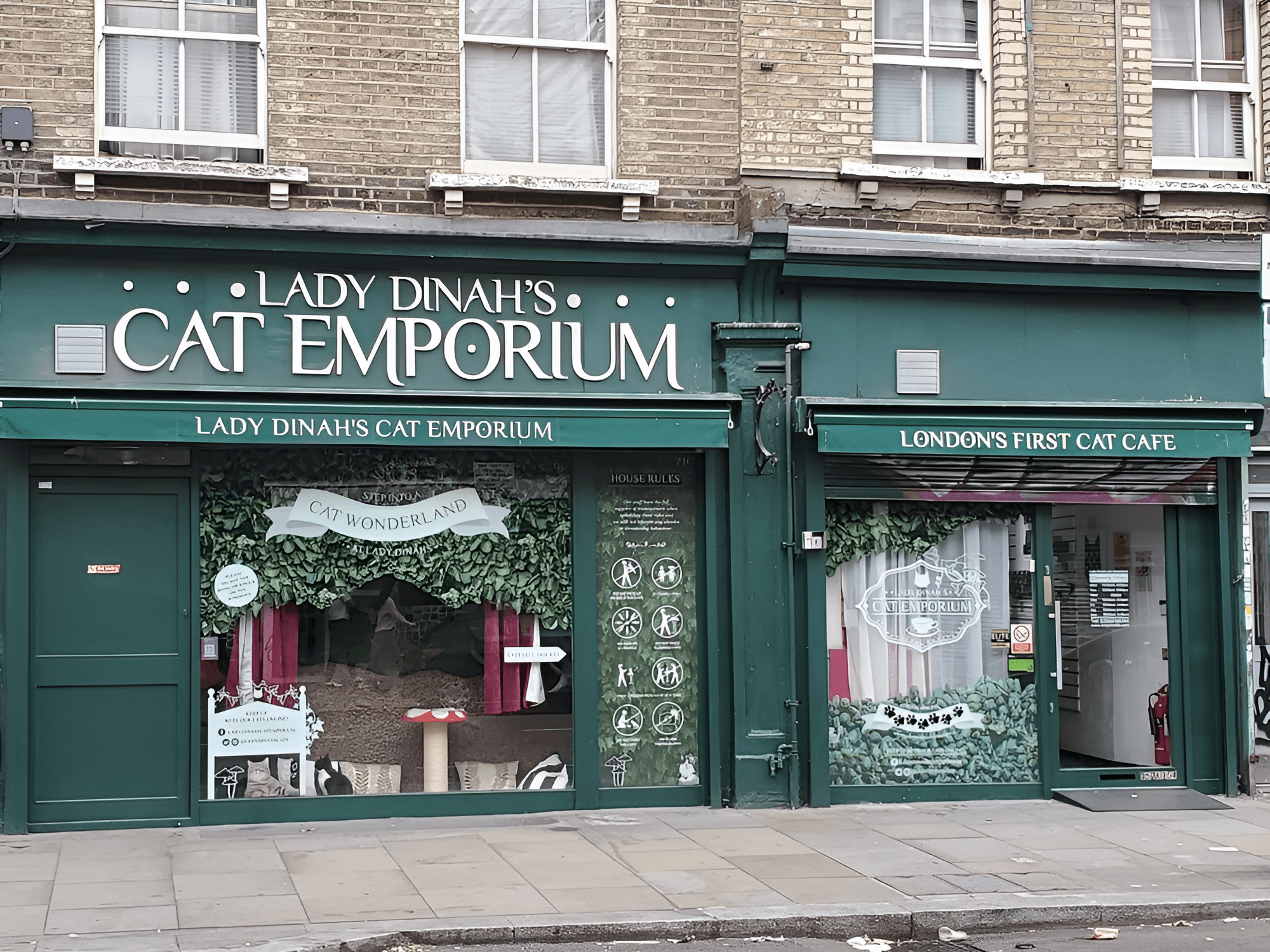 green exterior of a cat shop