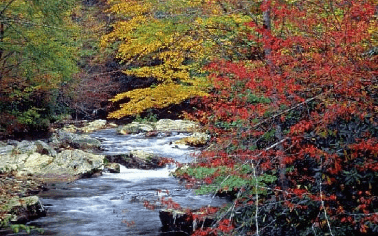 Tennessee: Cades Cove