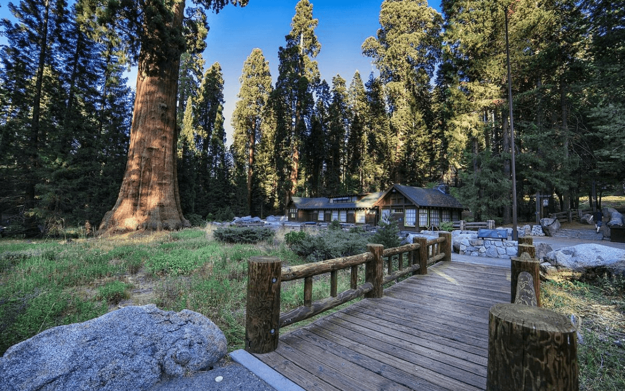 Sequoia National Park, California