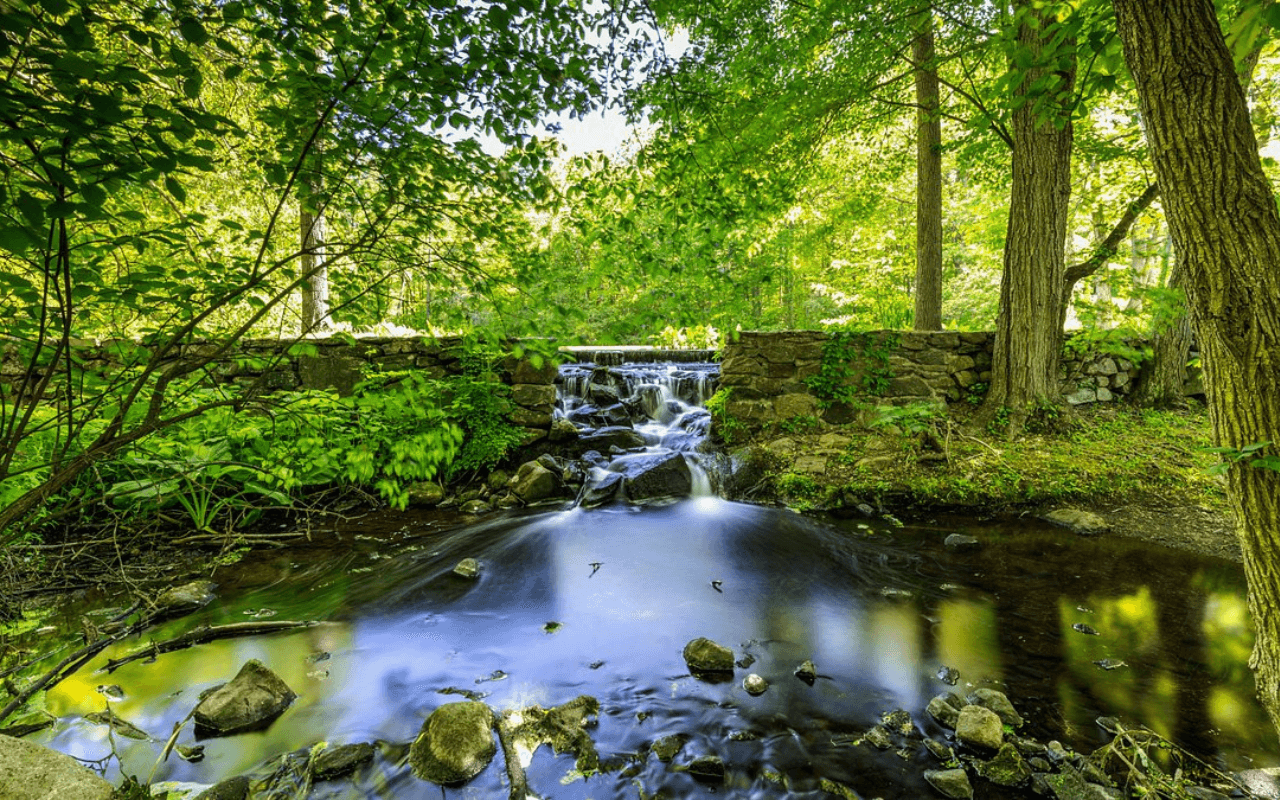 Connecticut: Bartlett Arboretum & Gardens
