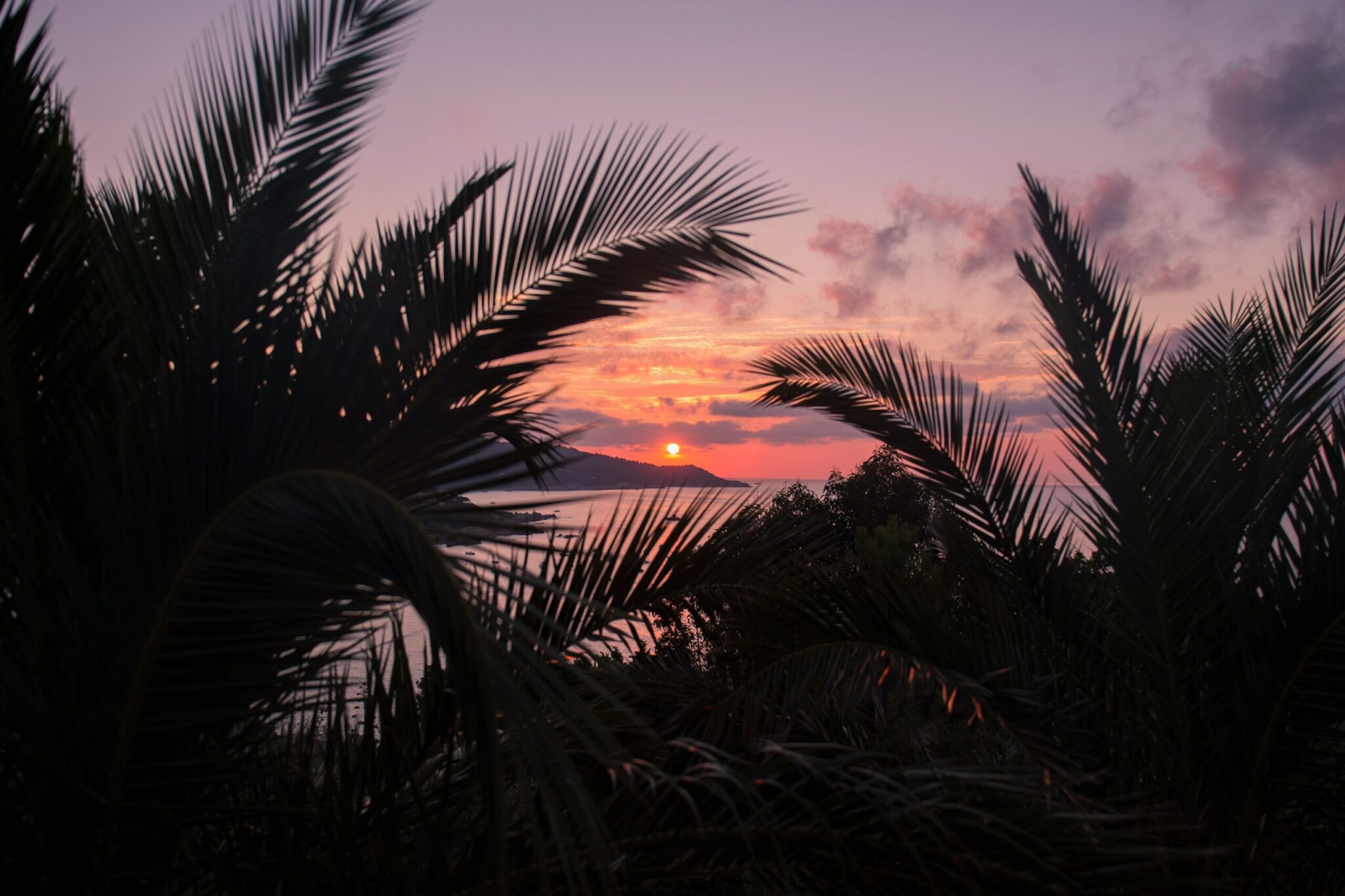the french riviera