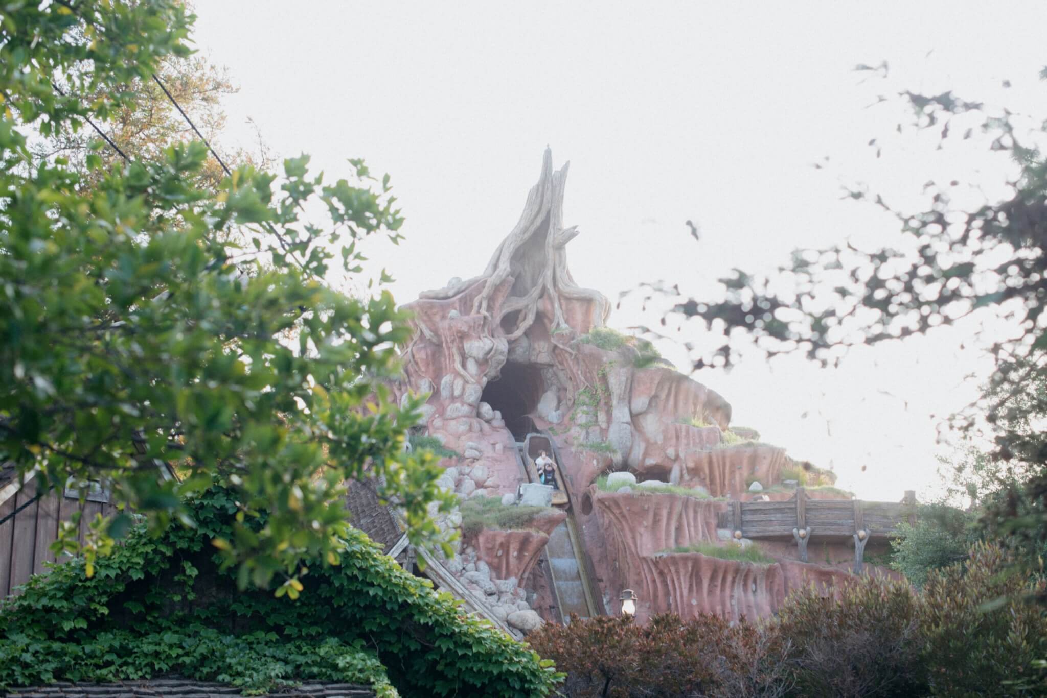 splash mountain