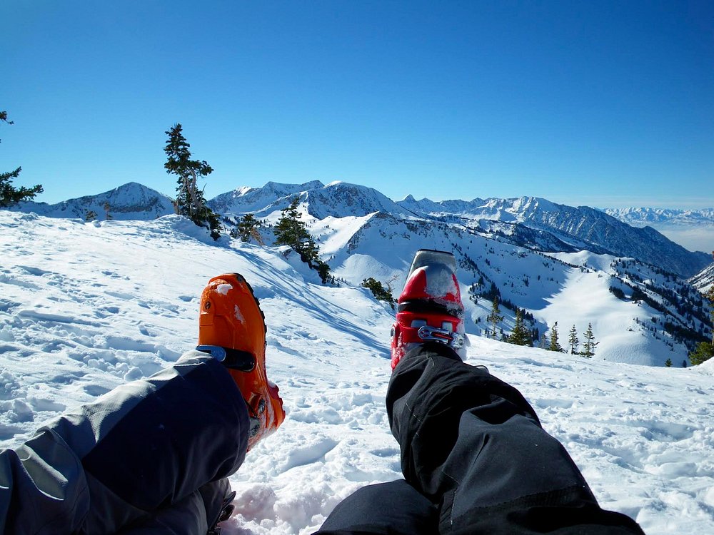 Alta is a skiers' mountain. The terrain is awesome. There are no boarders