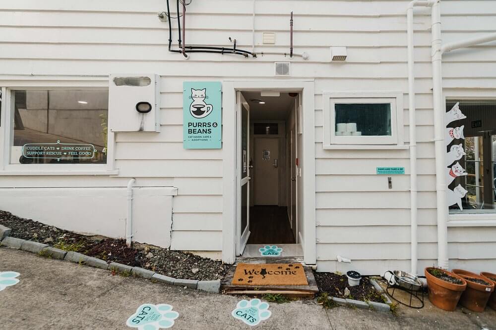 white building with purrs and beach sign