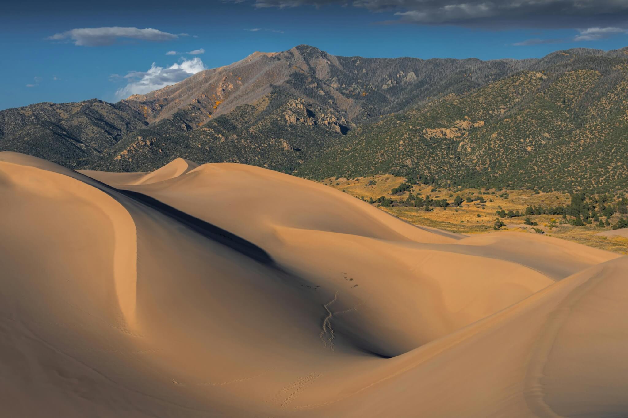 Massive sand dunes in front of mountains.
