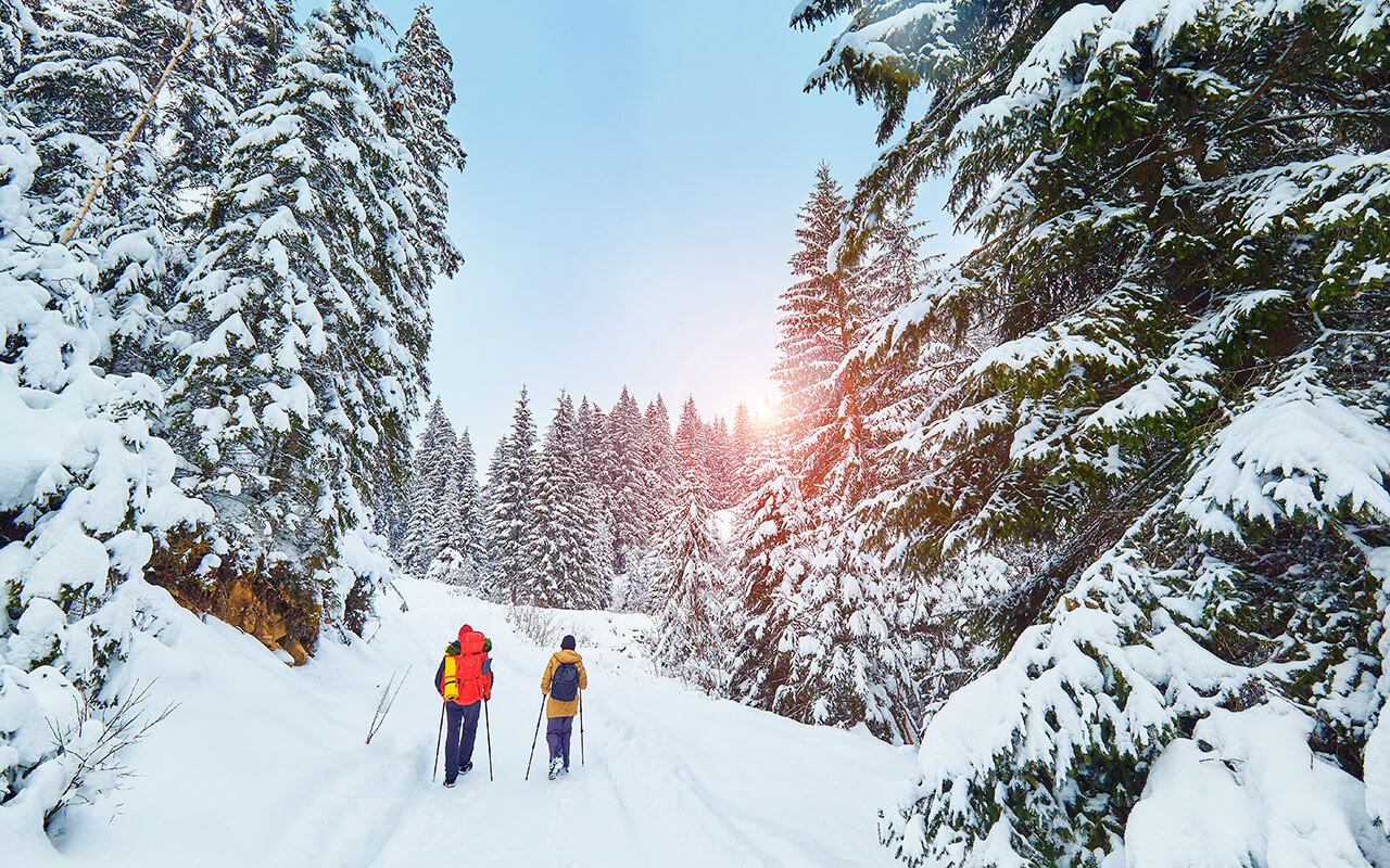 Winter hiking trail