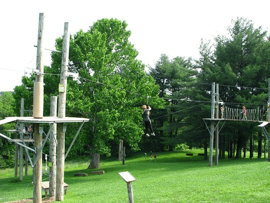 Dragonfly Zip Line