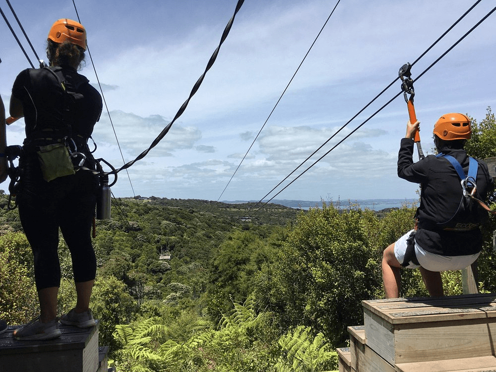 Eco Zip Line