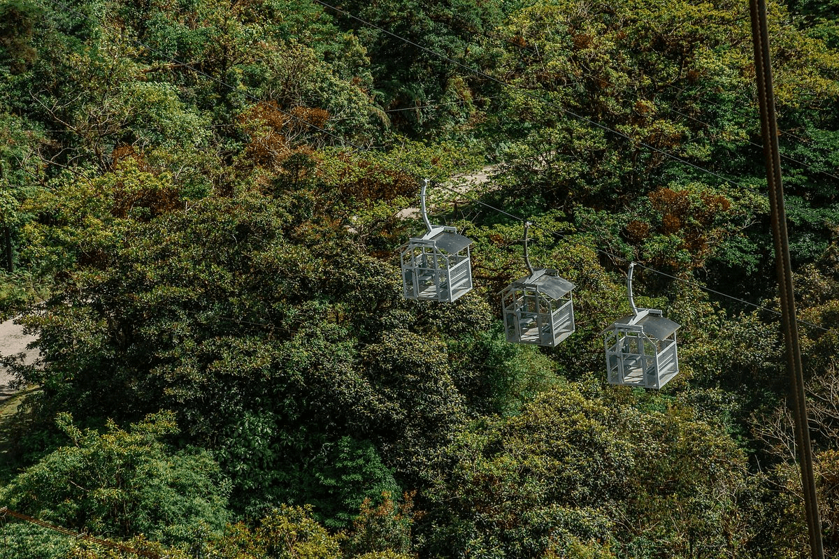 Monteverde Cloud Forest