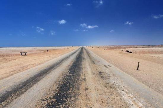 The Skeleton Coast