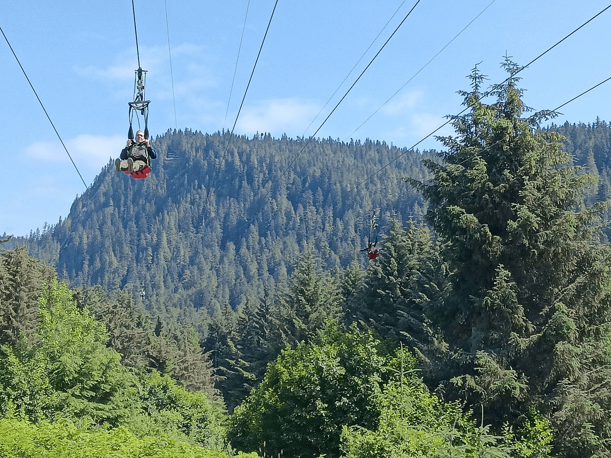 ZipRider at Icy Strait Point