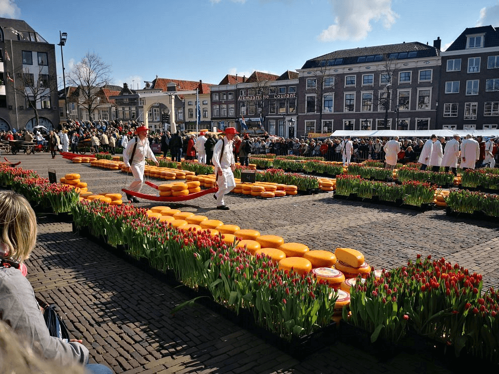 Alkmaar and Gouda