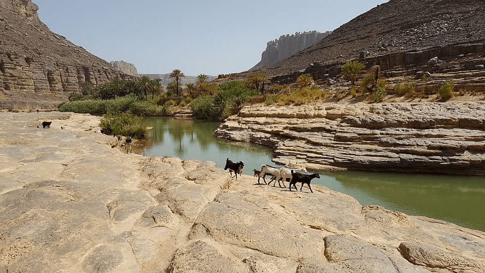 The Rock Art of Tassili n'Ajjer – Algeria
